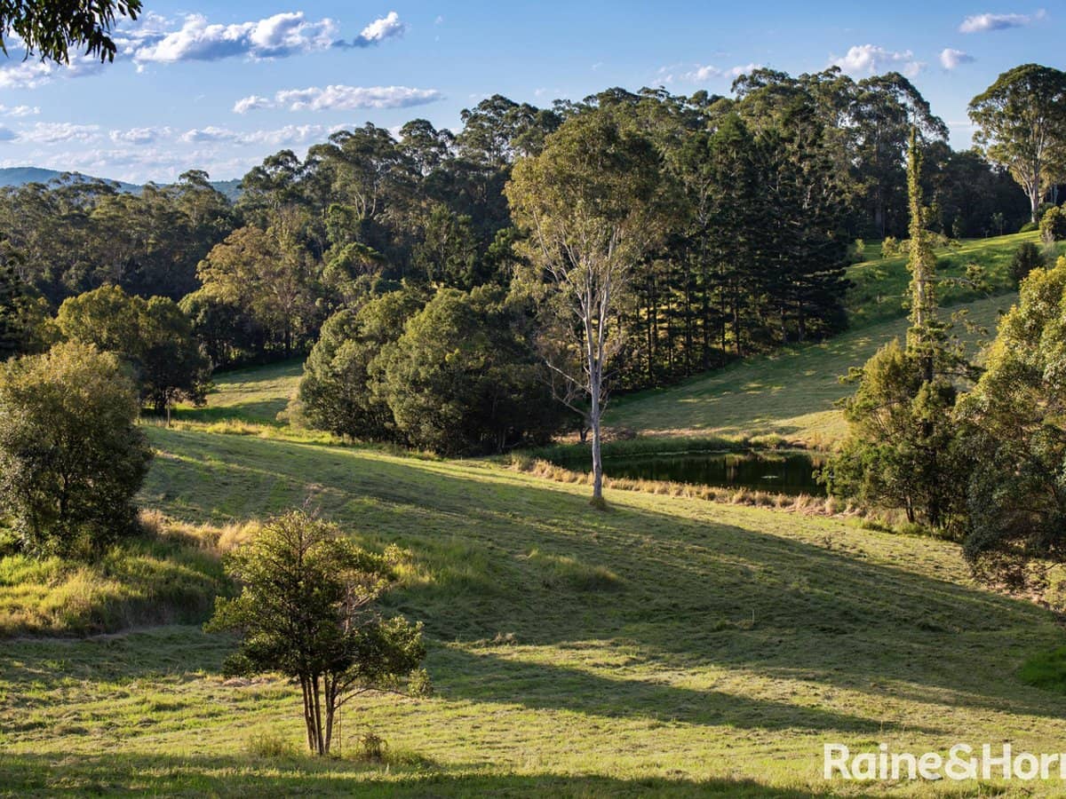 44 Hoy Road, LAKE MACDONALD - Thumbnail 9