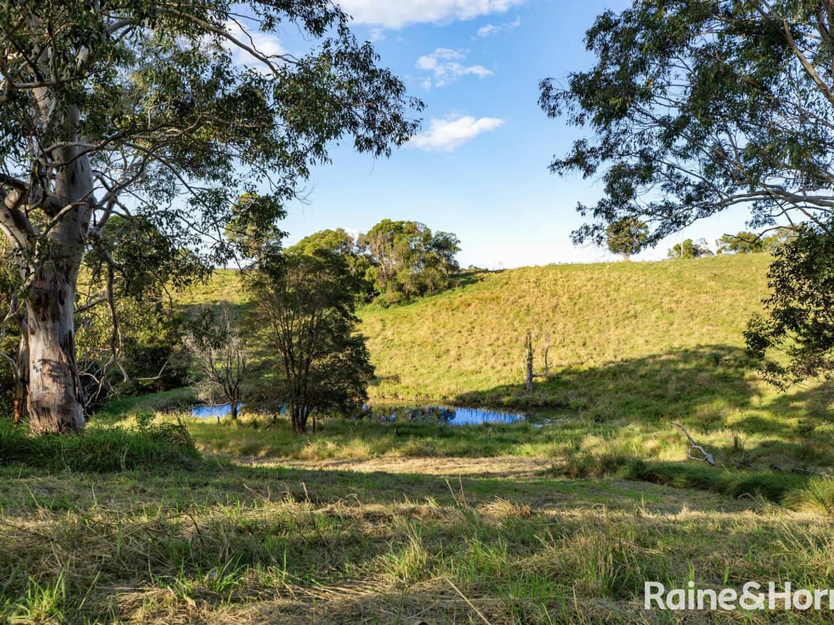 44 Hoy Road, LAKE MACDONALD - Thumbnail 10