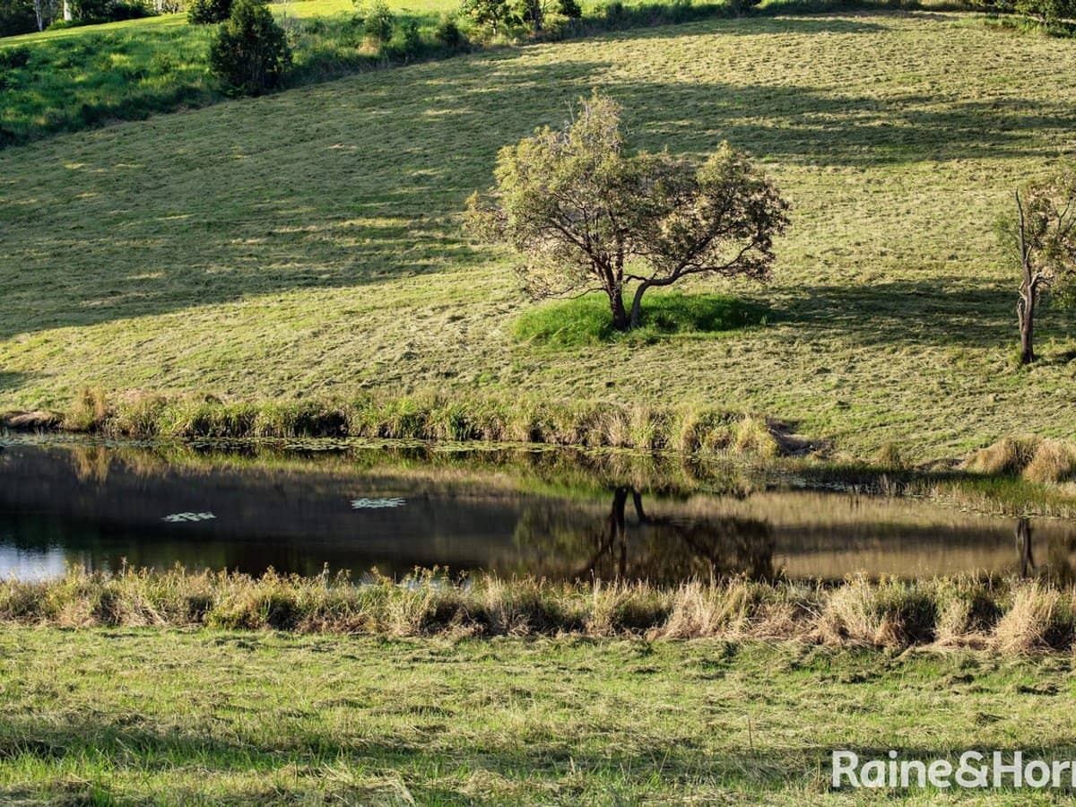 44 Hoy Road, LAKE MACDONALD - Thumbnail 15
