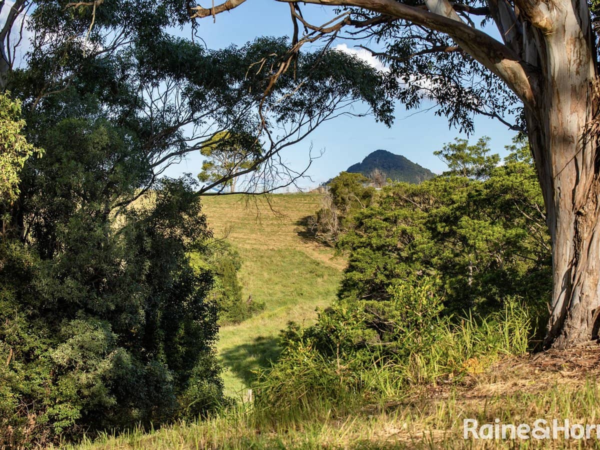 44 Hoy Road, LAKE MACDONALD - Thumbnail 16