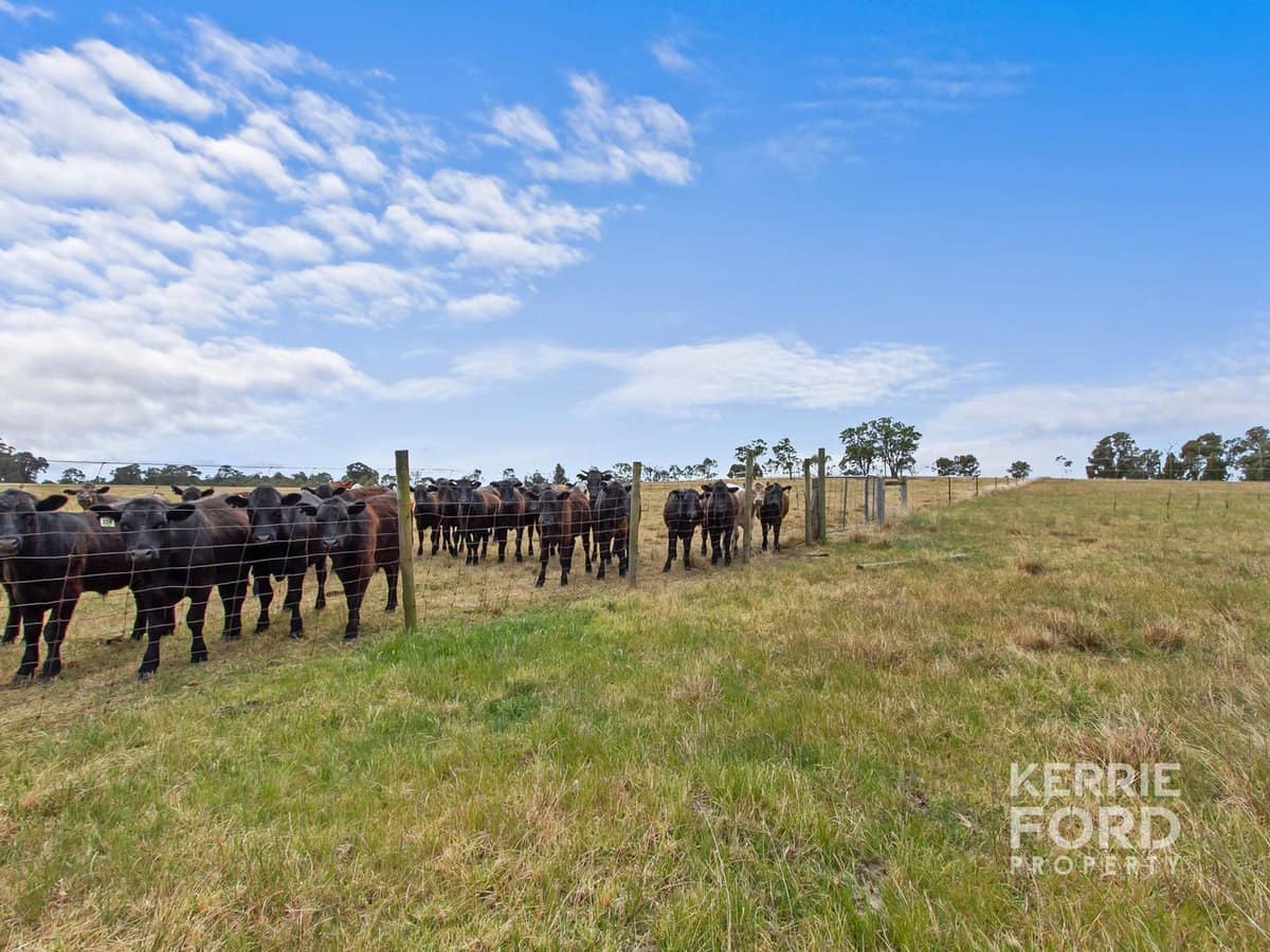 810 Tinamba Seaton Road, TINAMBA - Thumbnail 14