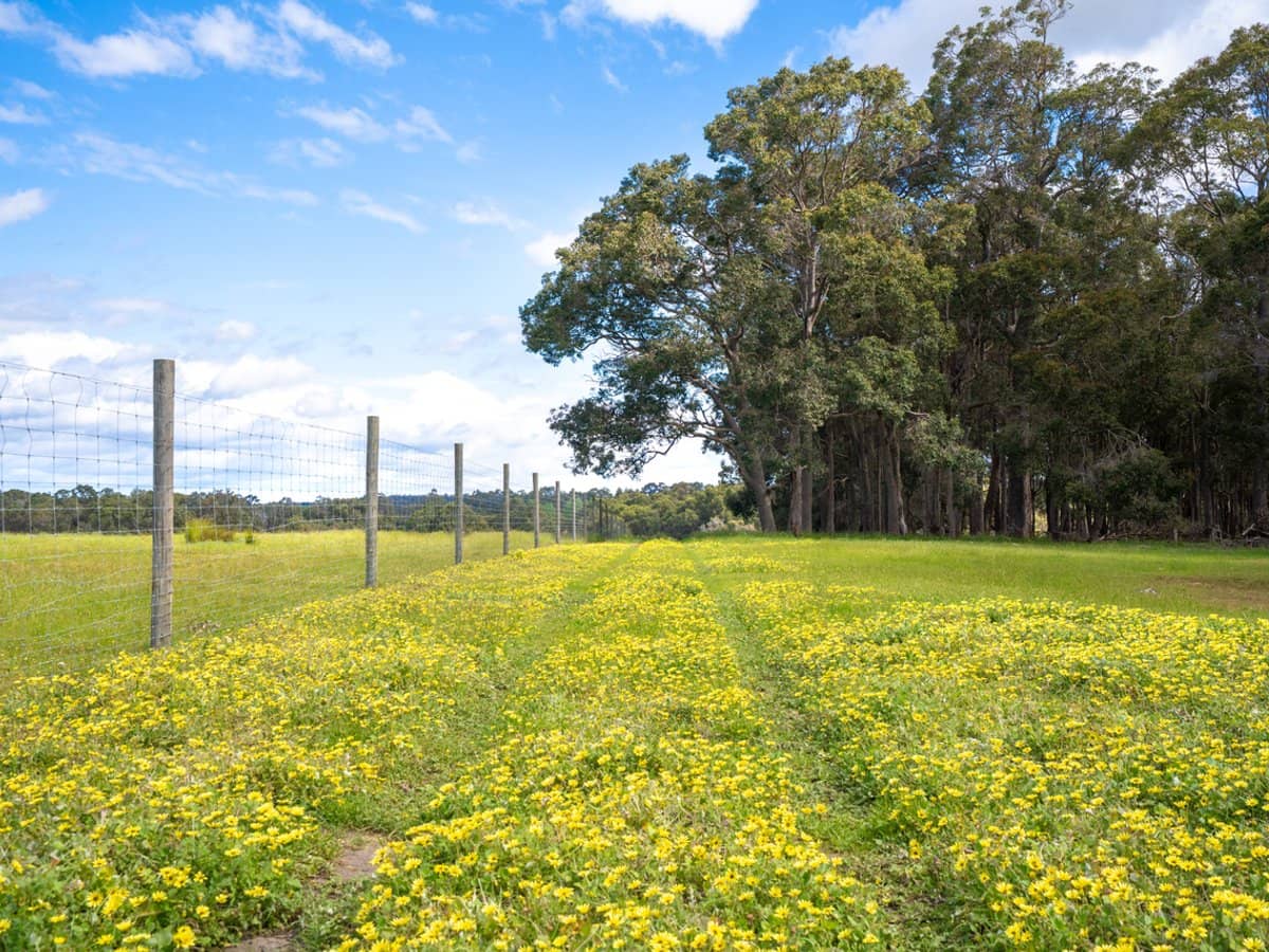 348 Bramley River Road, OSMINGTON - Thumbnail 7