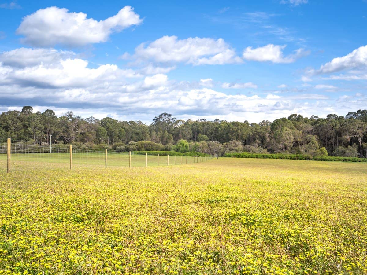 348 Bramley River Road, OSMINGTON - Thumbnail 12