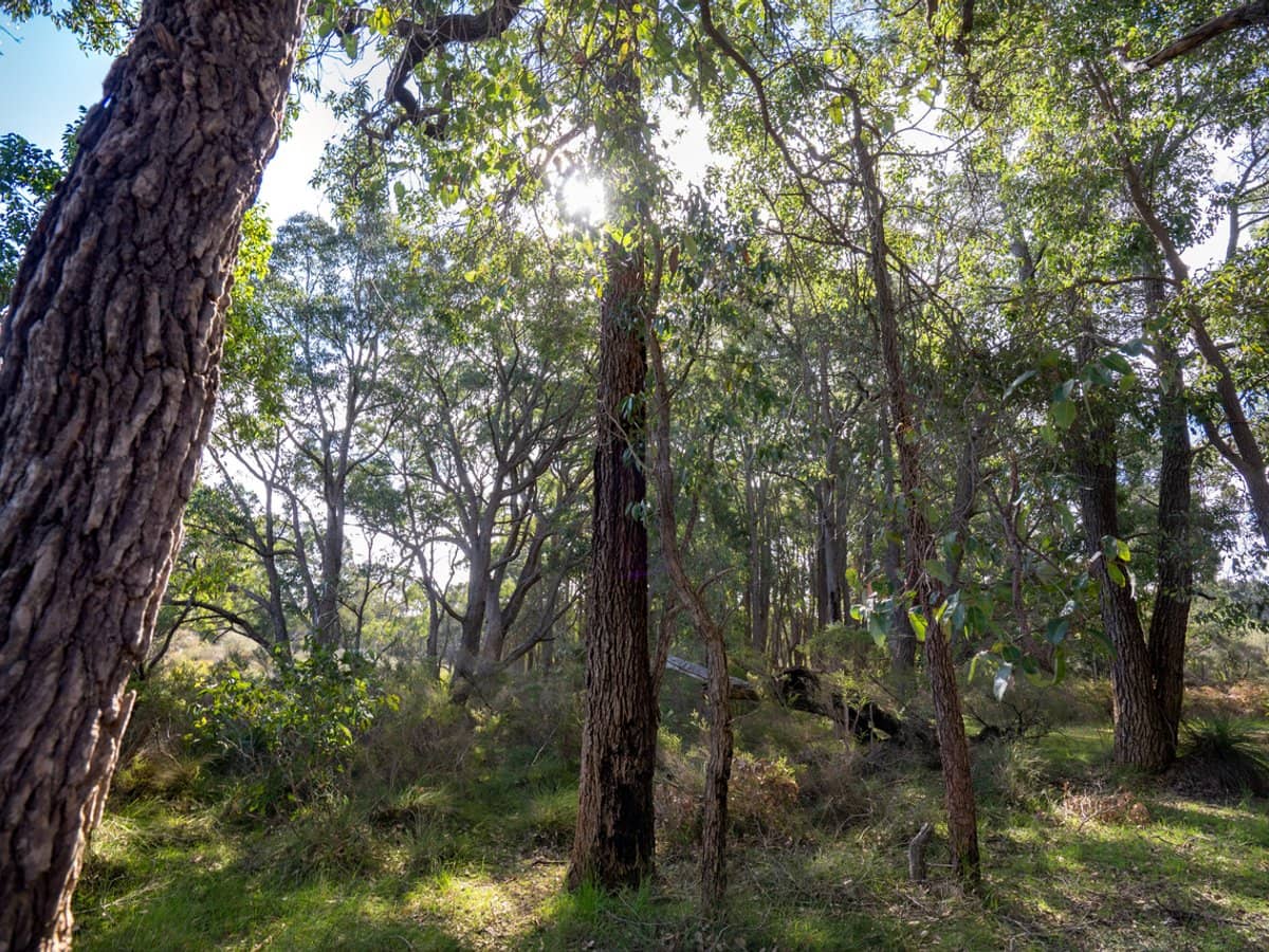 348 Bramley River Road, OSMINGTON - Thumbnail 17