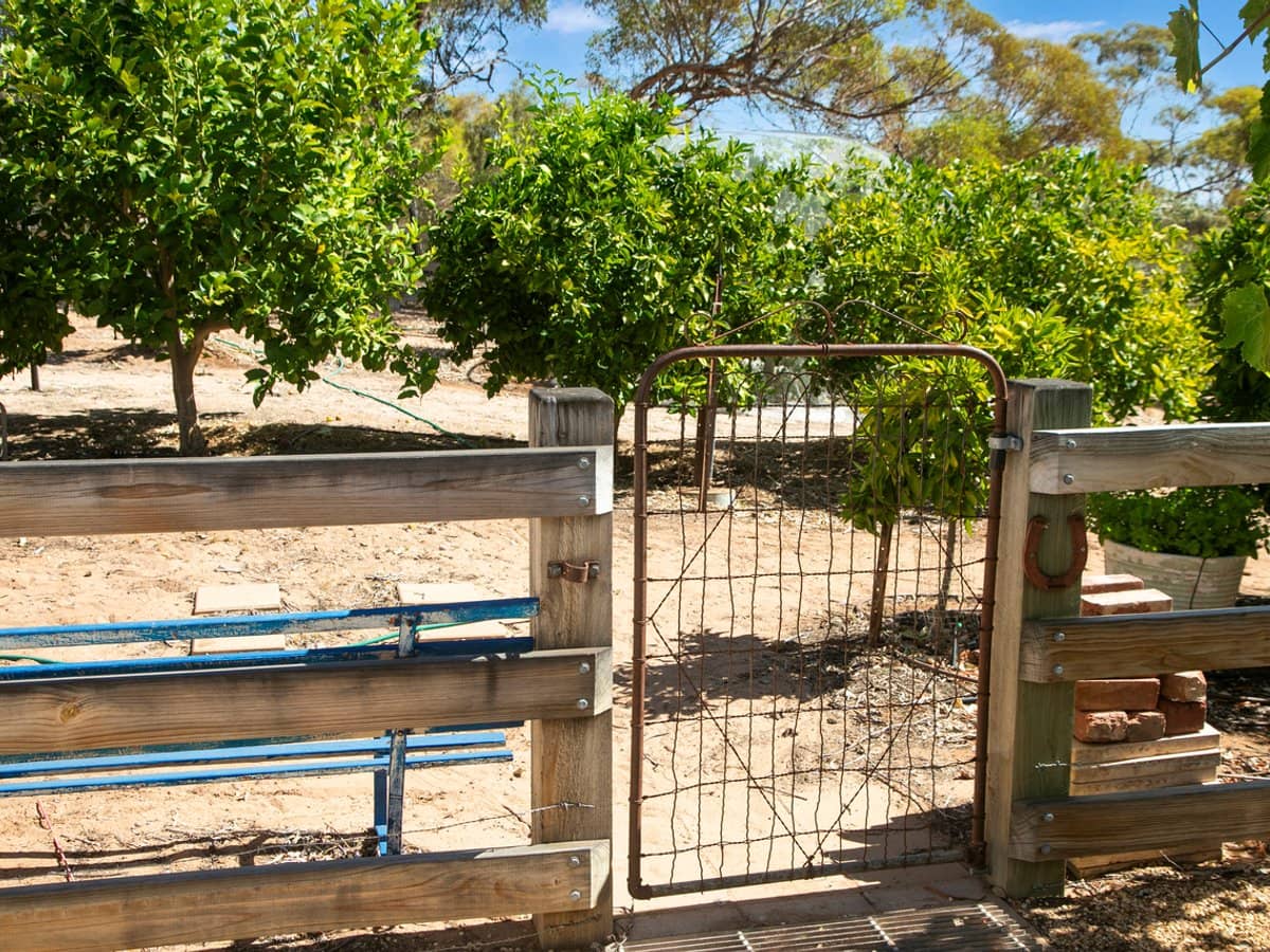 162 Old Murbko Road, MORGAN - Thumbnail 10