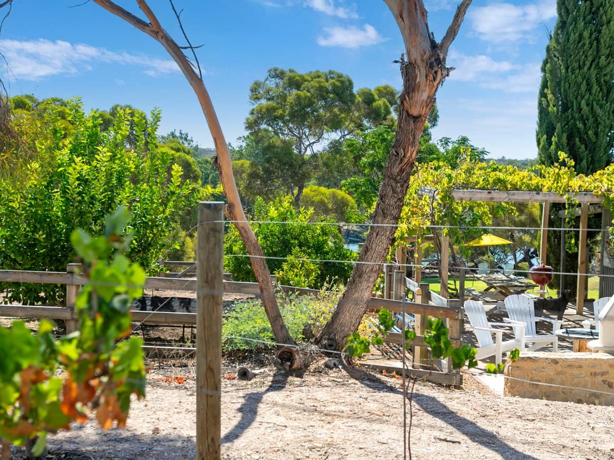 162 Old Murbko Road, MORGAN - Thumbnail 16