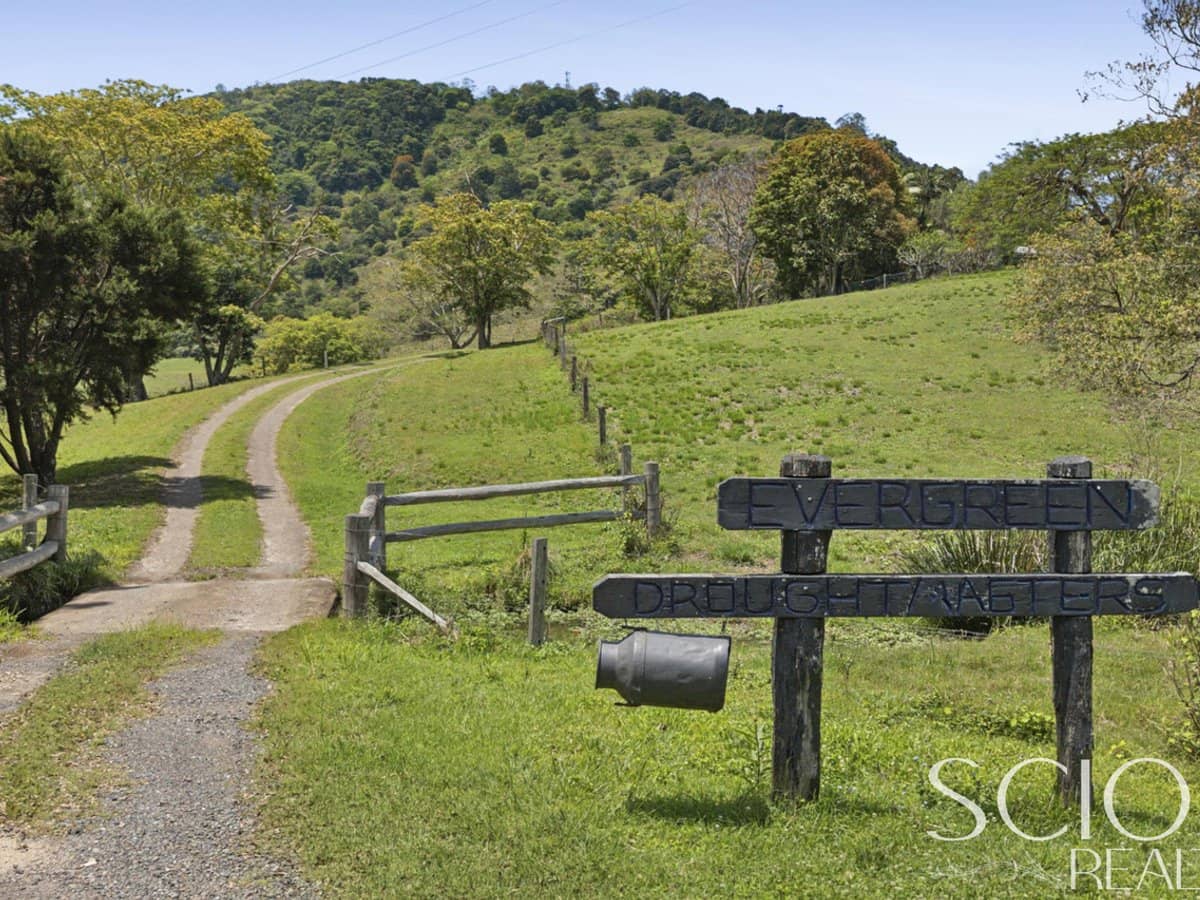 308 Mullins Creek Road, GOOMBOORIAN - Thumbnail 3