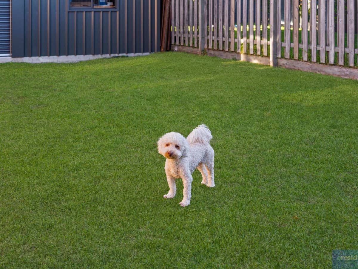 12 Kakadu Street, Parkinson - Thumbnail 22