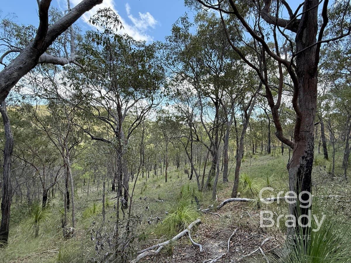 84389 & 84451 Bruce Highway, CARMILA - Thumbnail 5