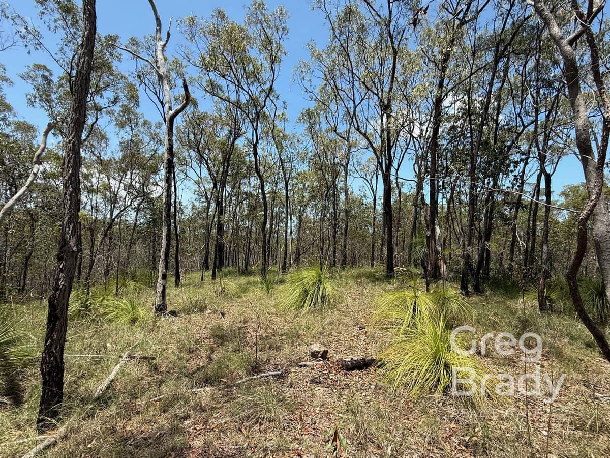 84389 & 84451 Bruce Highway, CARMILA - Thumbnail 6