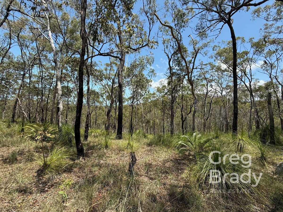 84389 & 84451 Bruce Highway, CARMILA - Thumbnail 7