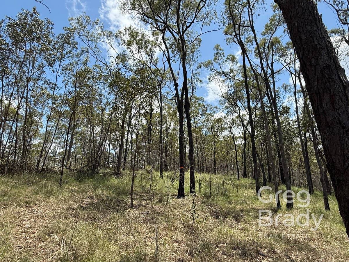 84389 & 84451 Bruce Highway, CARMILA - Thumbnail 8