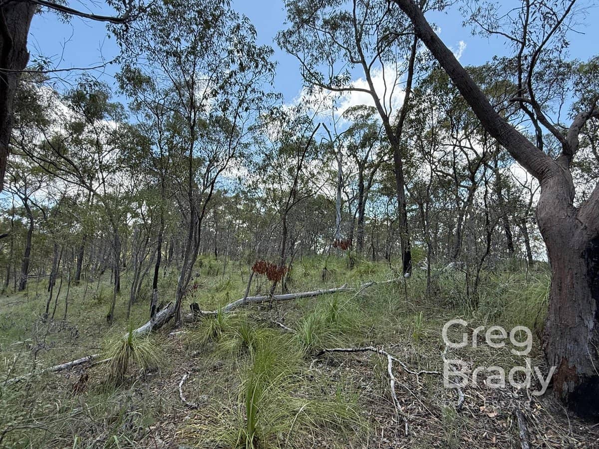 84389 & 84451 Bruce Highway, CARMILA - Thumbnail 10