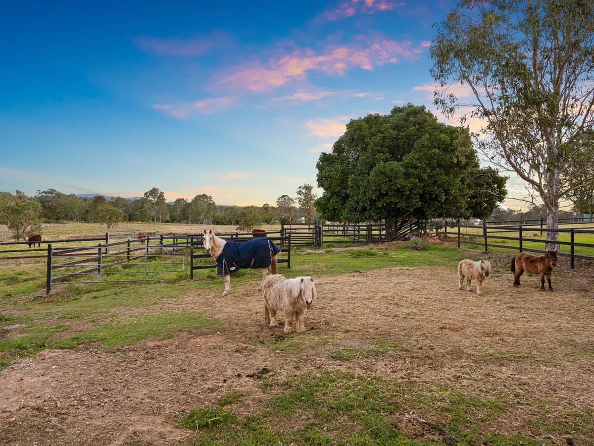 171-187 Kenny Road, CHAMBERS FLAT - Thumbnail 23