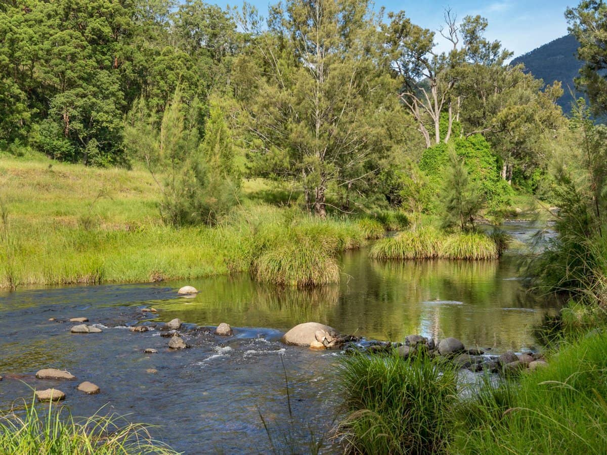 2745 Christmas Creek Road, LAMINGTON - Thumbnail 3