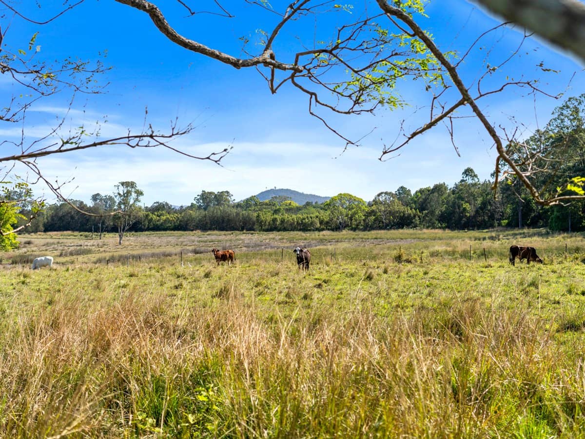213 Fischer Road, CARBROOK - Thumbnail 7