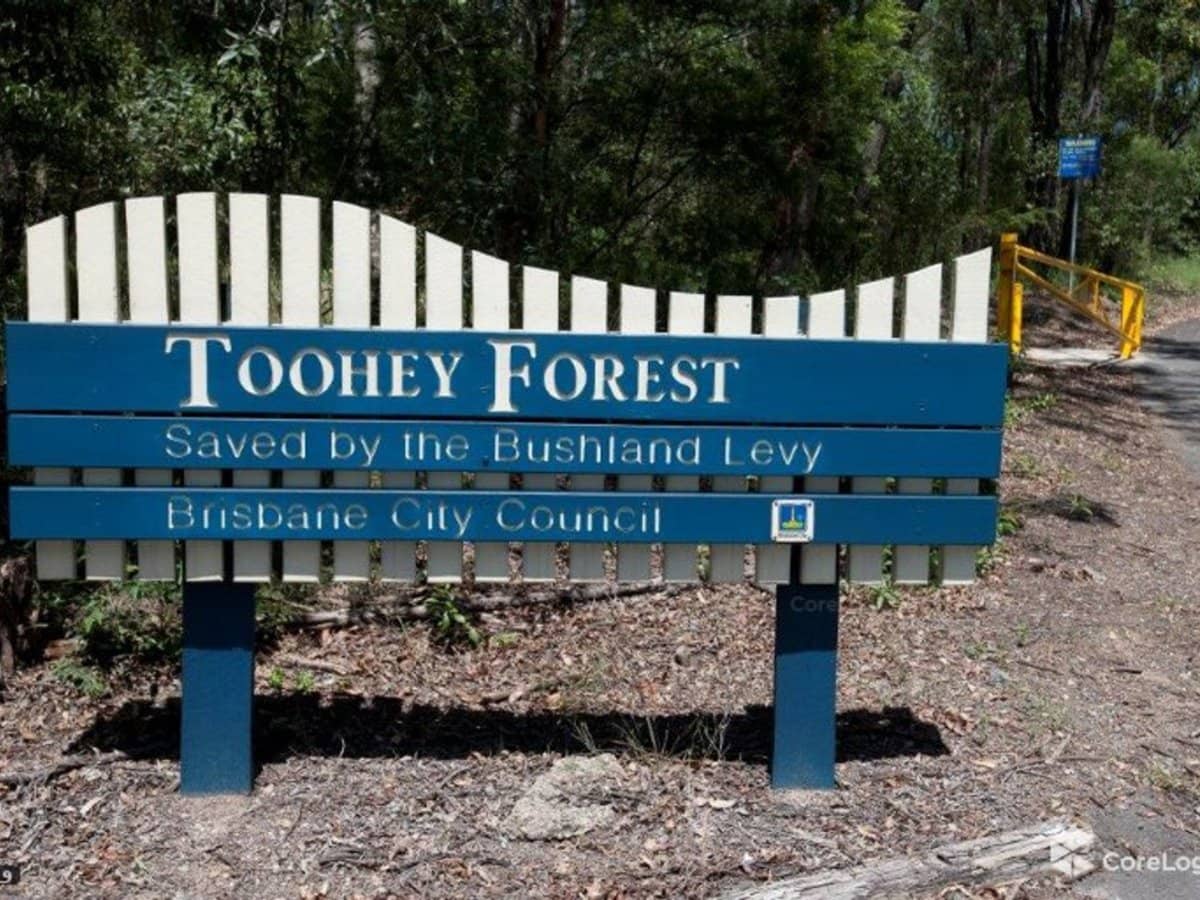 5 Cremin Street, Upper Mount Gravatt - Thumbnail 3