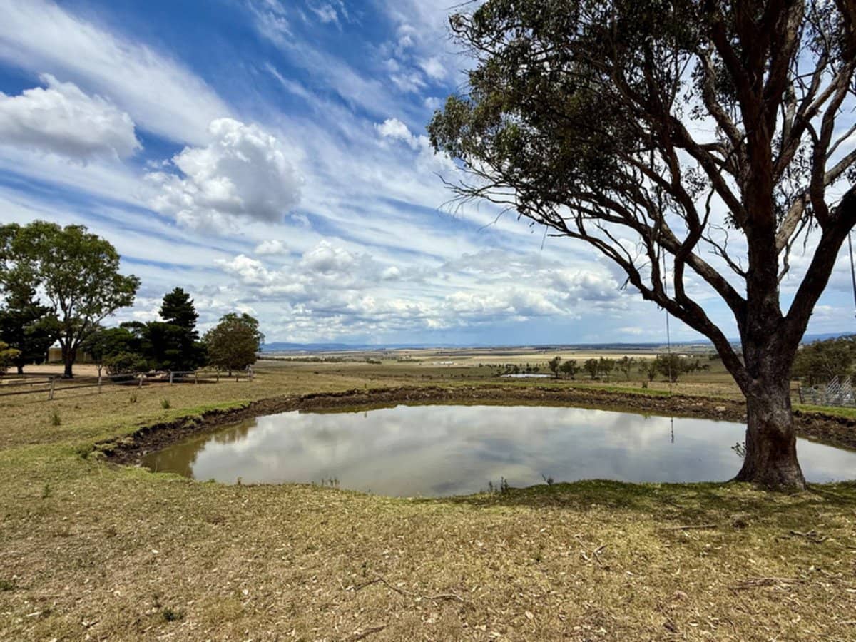132 Wrights Road, Mount Tabor - Thumbnail 3
