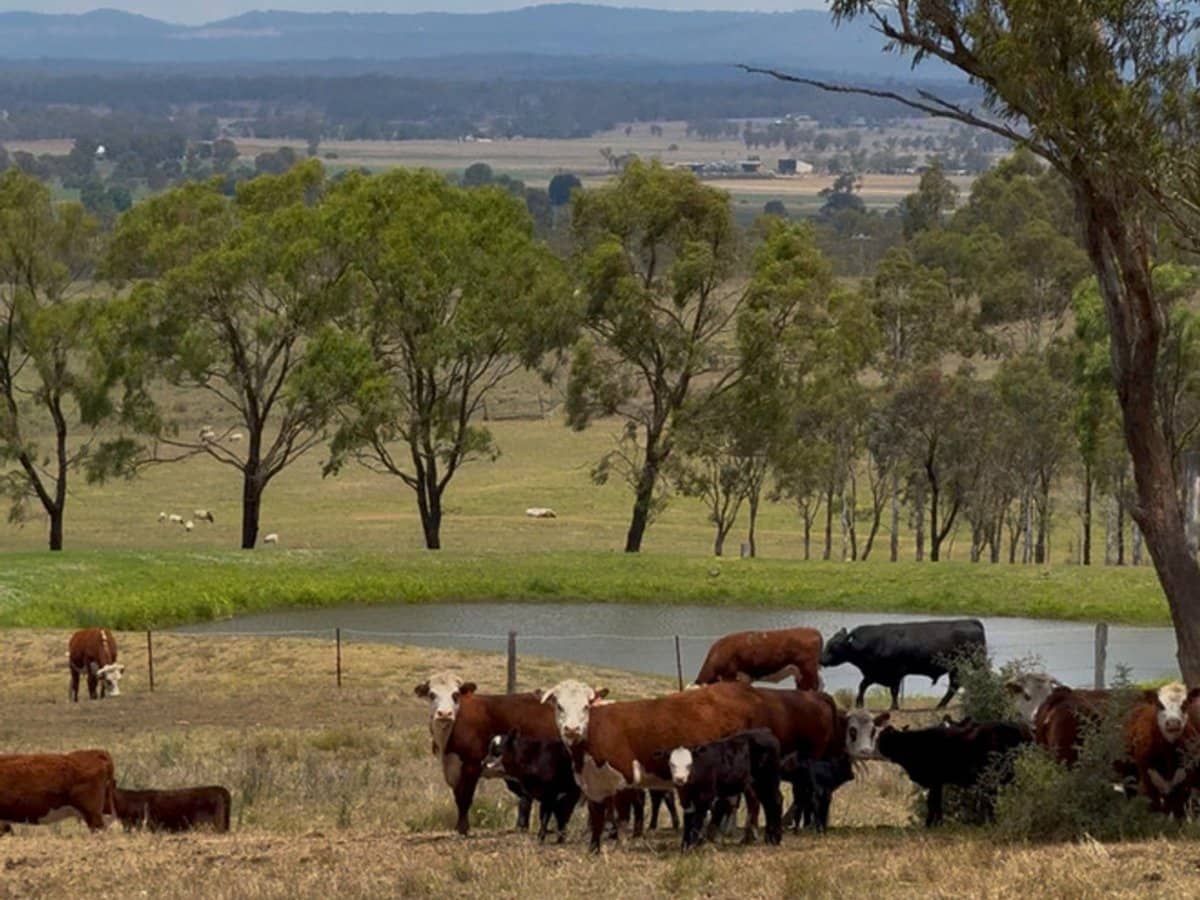 132 Wrights Road, Mount Tabor - Thumbnail 20