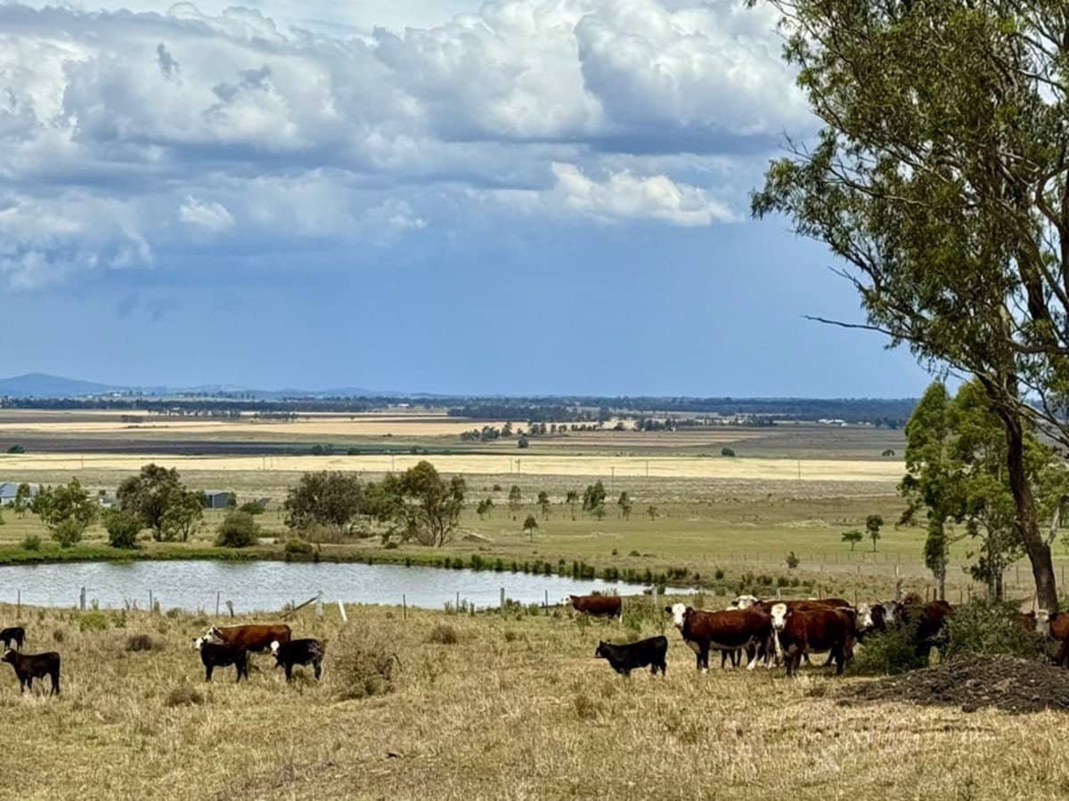 132 Wrights Road, Mount Tabor - Thumbnail 21