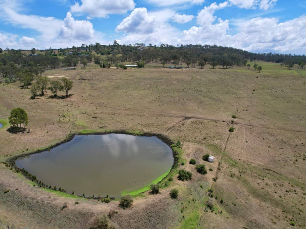 132 Wrights Road, Mount Tabor - Thumbnail 22