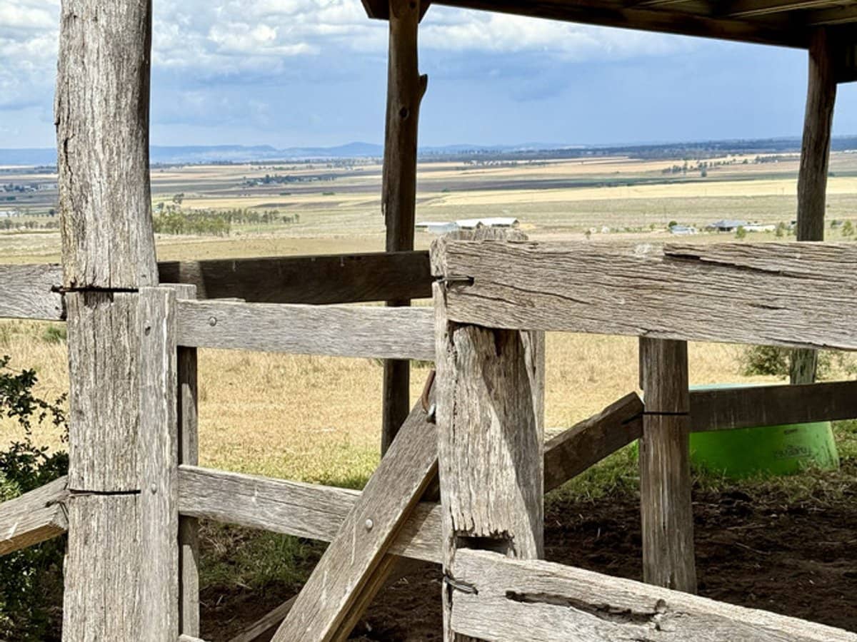 132 Wrights Road, Mount Tabor - Thumbnail 23