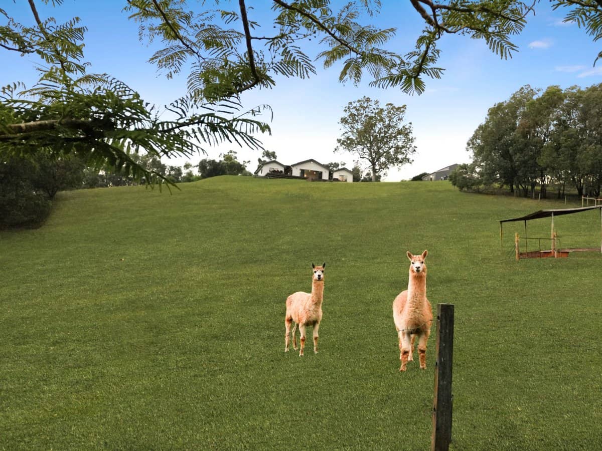 43 Boogard Place, Clagiraba - Thumbnail 7