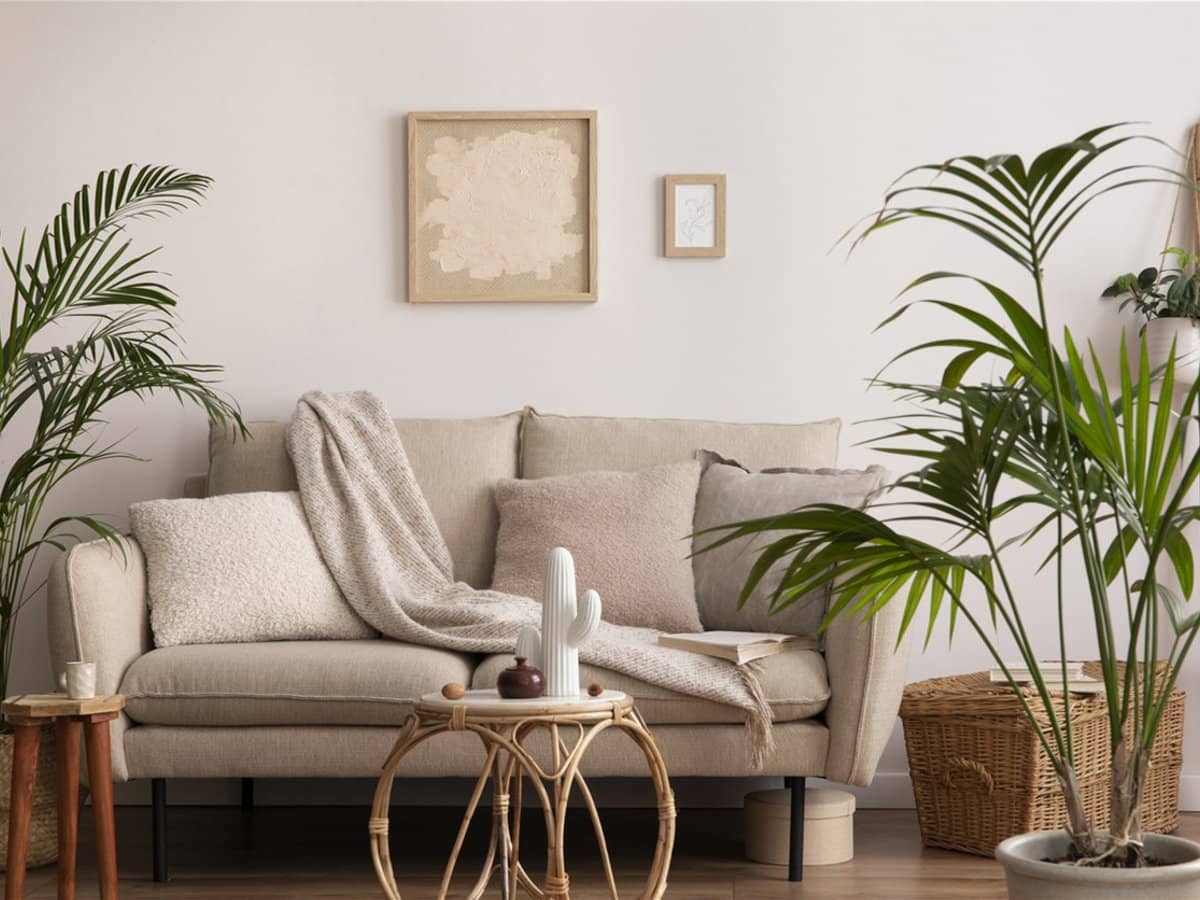 242 Canvey Road, UPPER KEDRON - Thumbnail 1