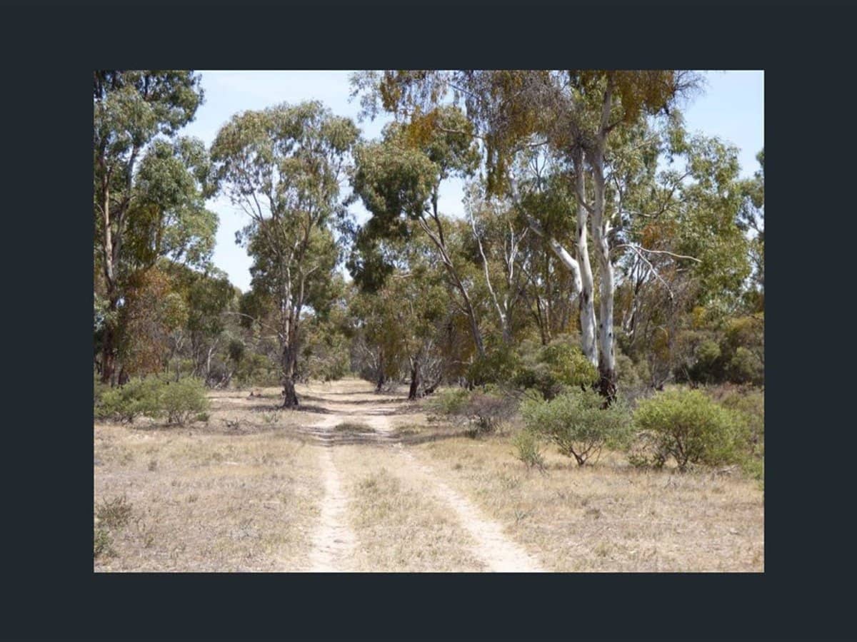 360 Old racecourse, DIMBOOLA - Thumbnail 2