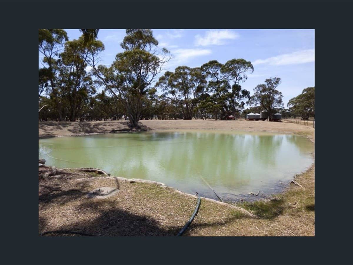 360 Old racecourse, DIMBOOLA - Thumbnail 3