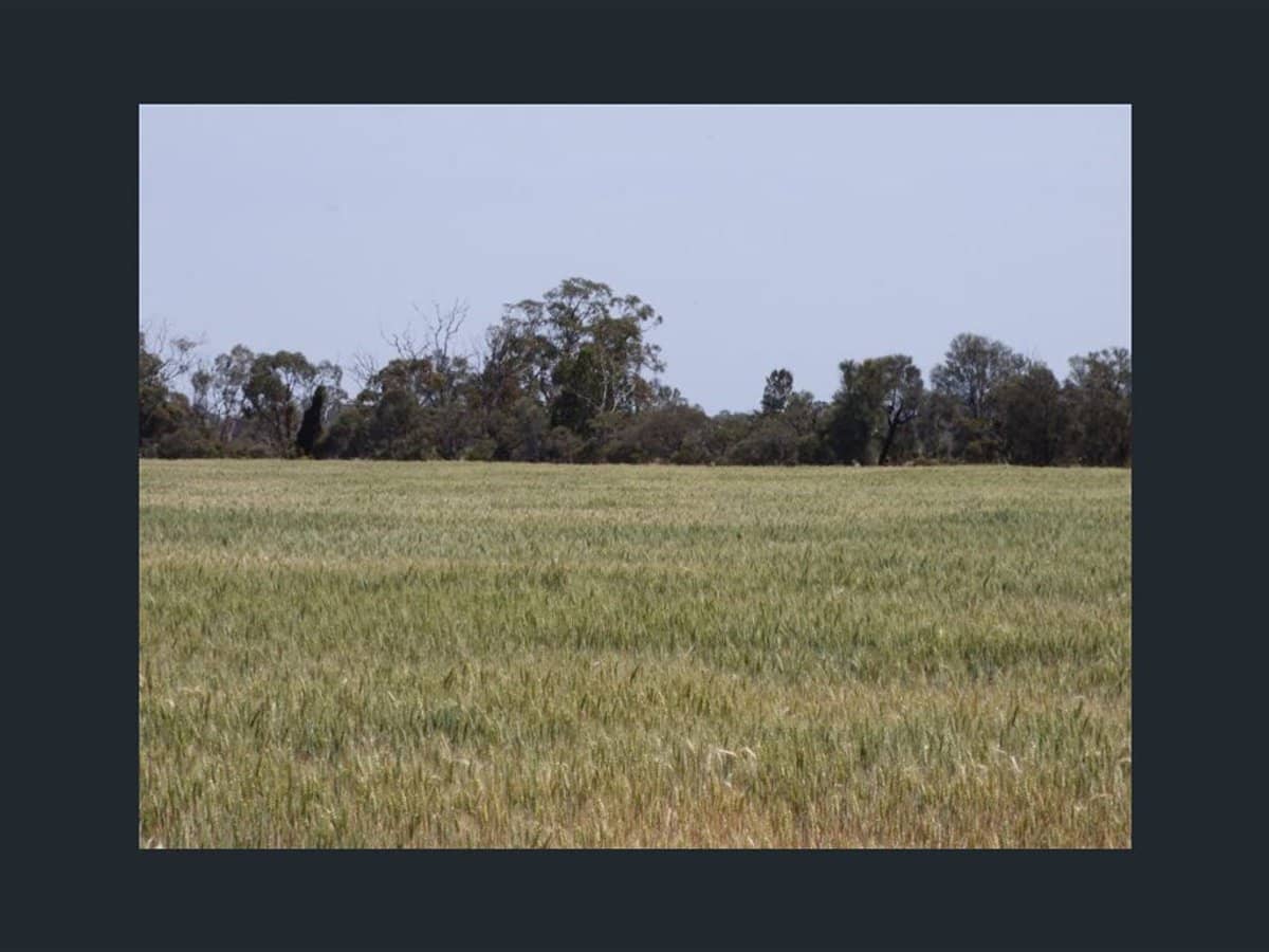360 Old racecourse, DIMBOOLA - Thumbnail 6