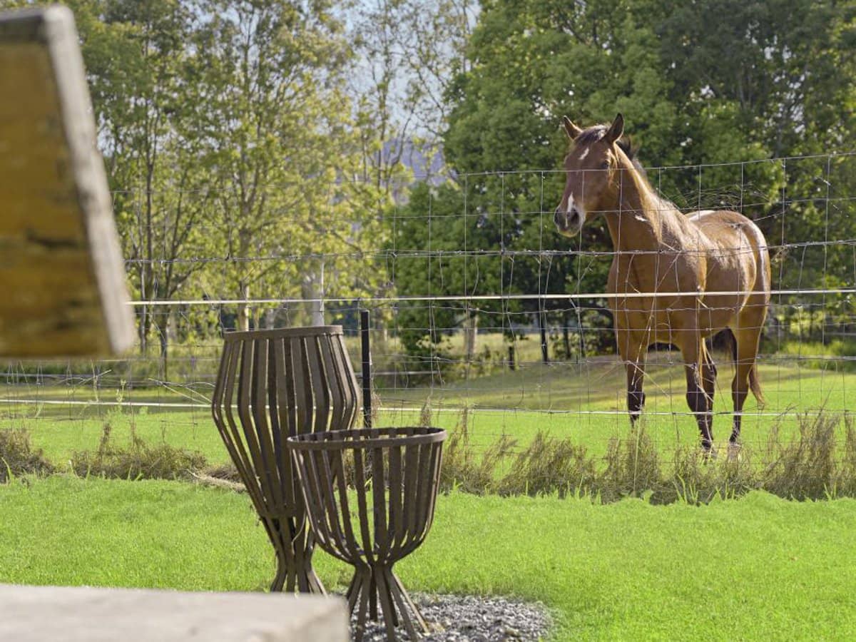 2733 Beaudesert Nerang Road, Wonglepong - Thumbnail 22