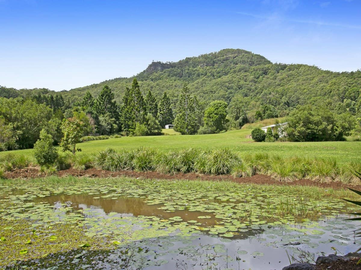 1395 Tallebudgera Creek Road, Tallebudgera Valley - Thumbnail 16