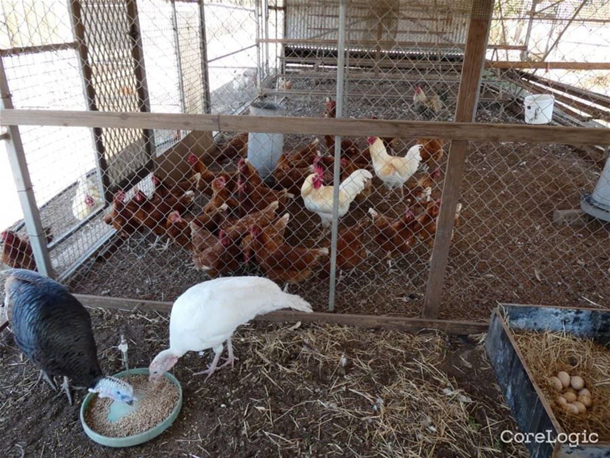 785 Toms Creek Road, ELLENBOROUGH - Thumbnail 13