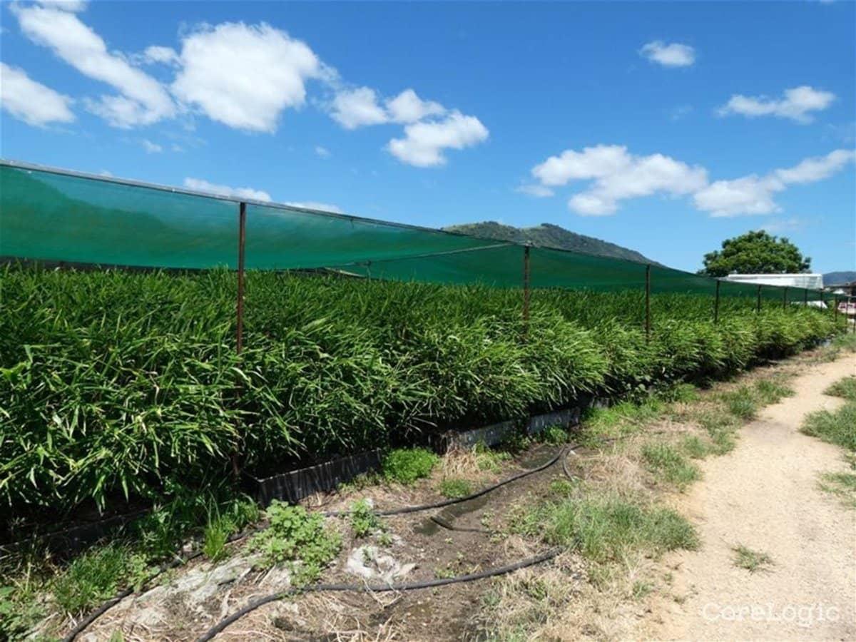 785 Toms Creek Road, ELLENBOROUGH - Thumbnail 25