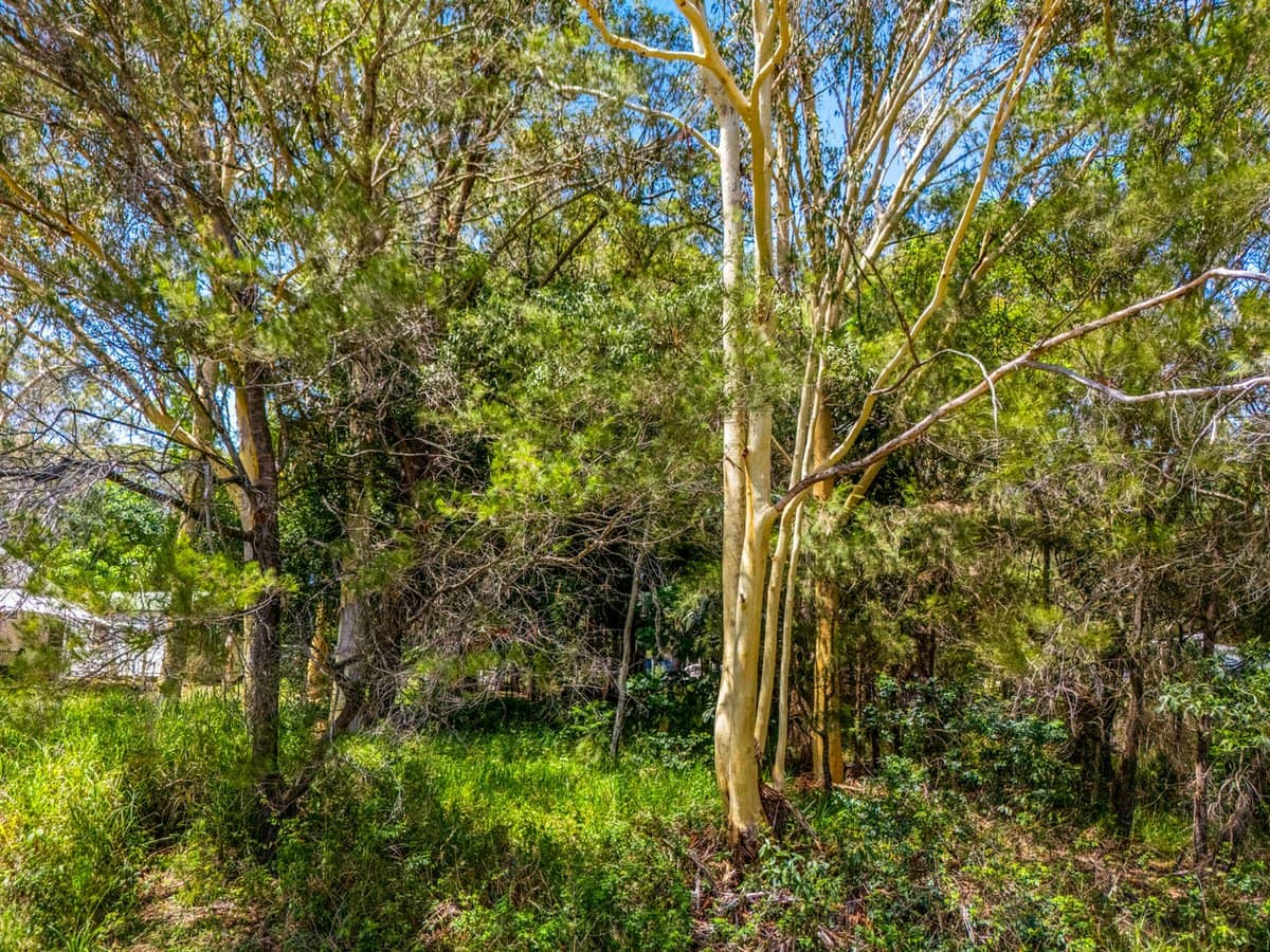 22 Barcelona Terrace, RUSSELL ISLAND - Thumbnail 6