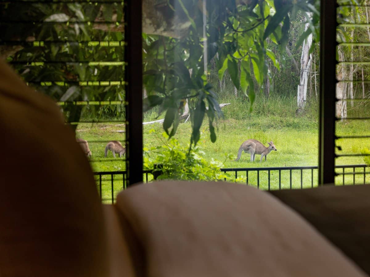 97 Lake Weyba Drive, NOOSAVILLE - Thumbnail 22