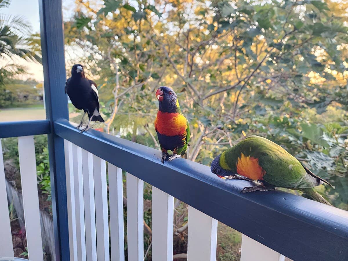 324 Newmarket Road, NEWMARKET - Thumbnail 9