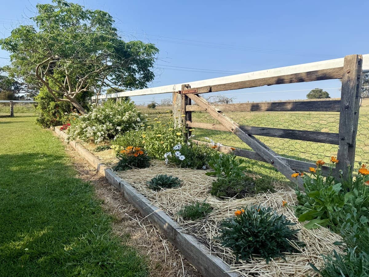 522-572 Lyndhurst Lane (108 Inverleigh Rd), Rosenthal Heights - Thumbnail 18