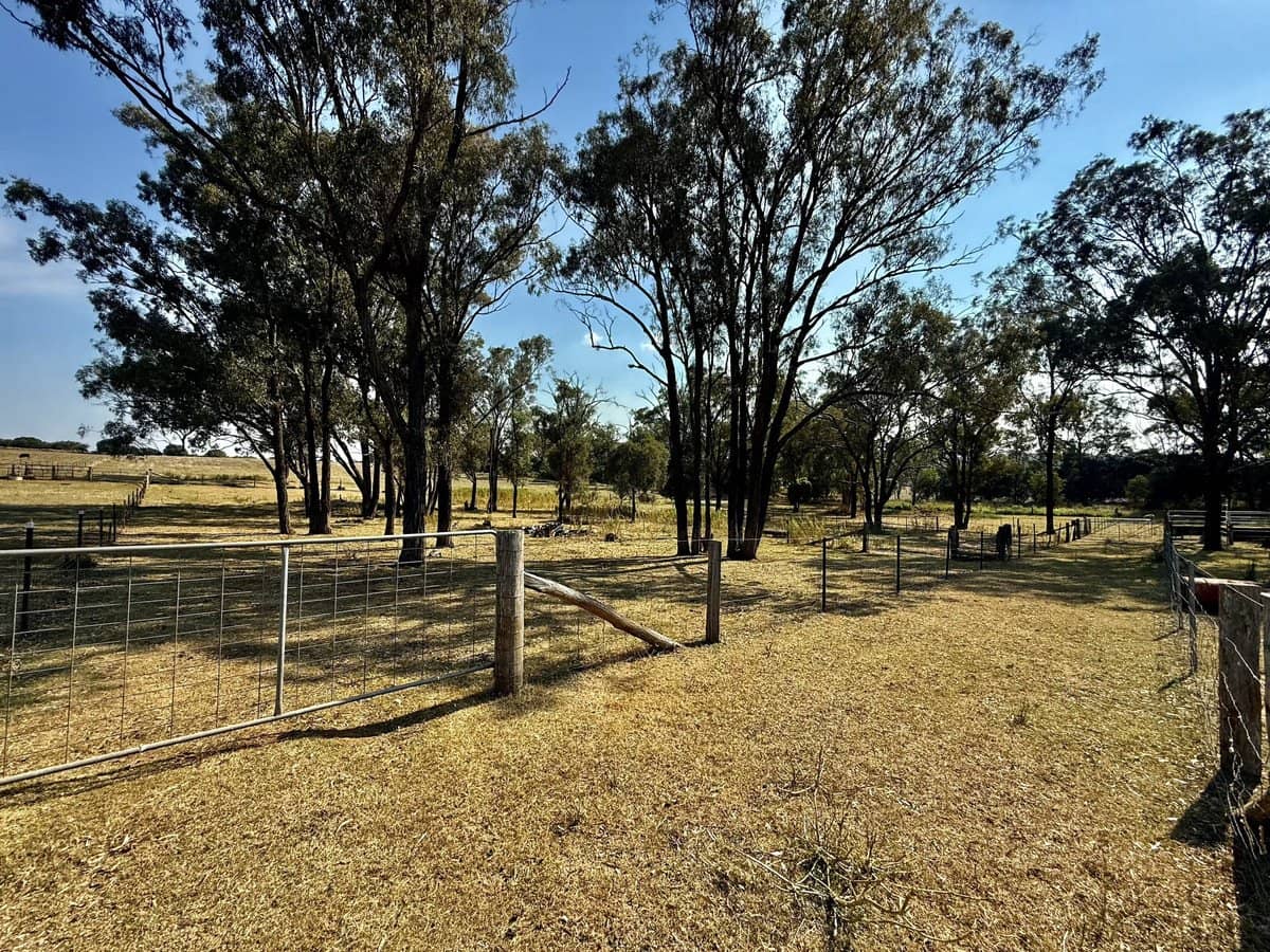 522-572 Lyndhurst Lane (108 Inverleigh Rd), Rosenthal Heights - Thumbnail 24