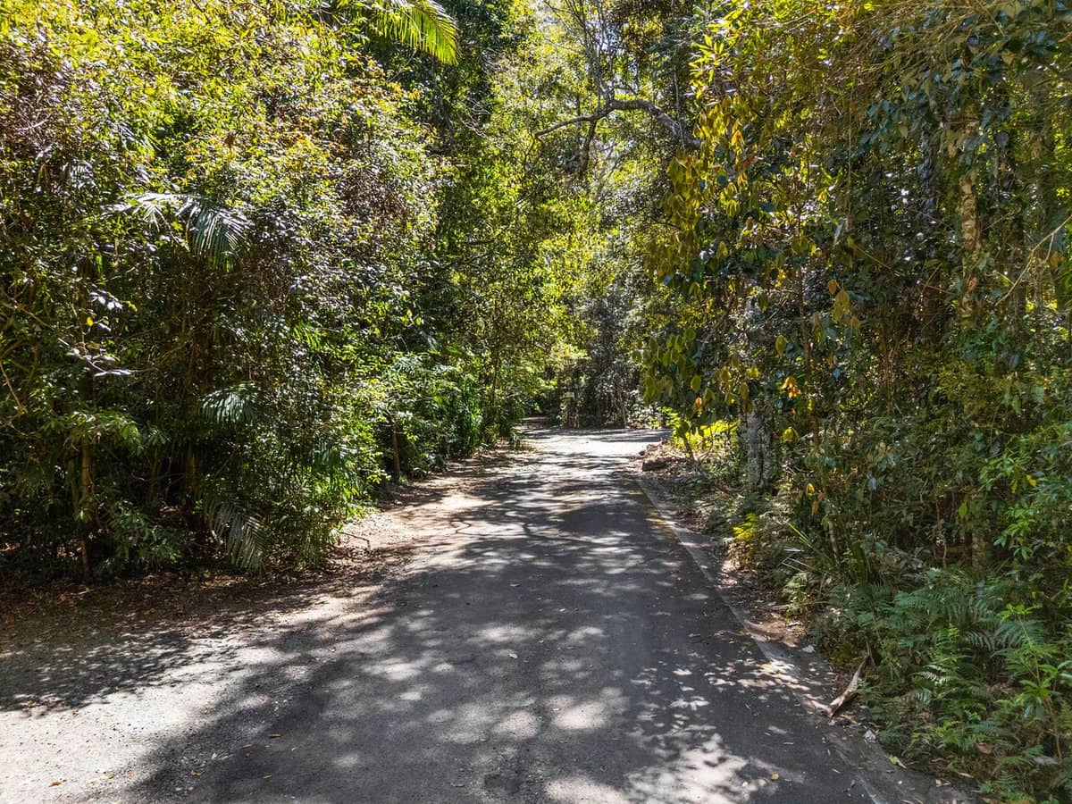 16 Kuralboo Street, SPRINGBROOK - Thumbnail 2