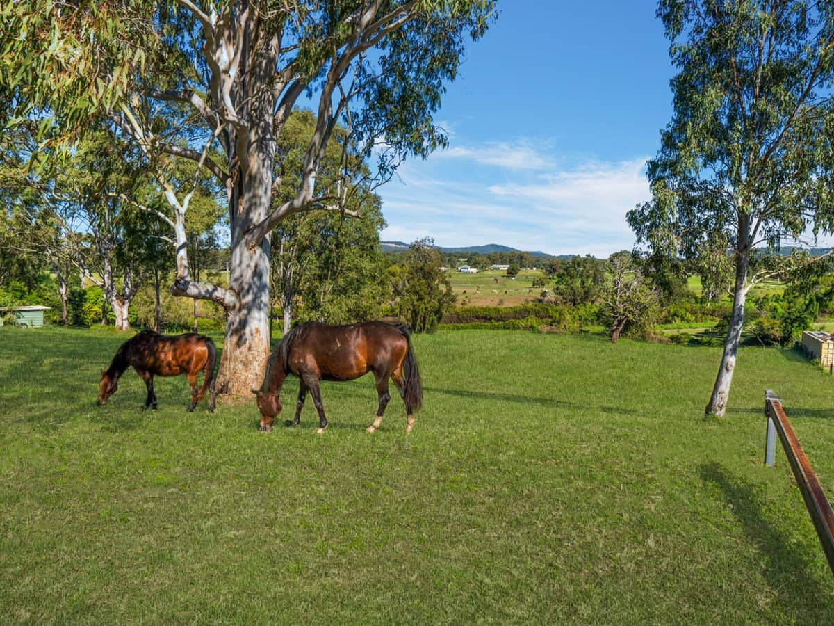14 Magenta Court, MOUNT WARREN PARK - Thumbnail 15