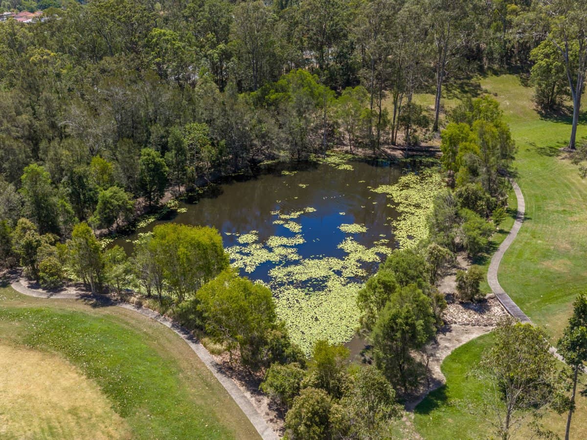 31 Spoonbill Way, MUDGEERABA - Thumbnail 31