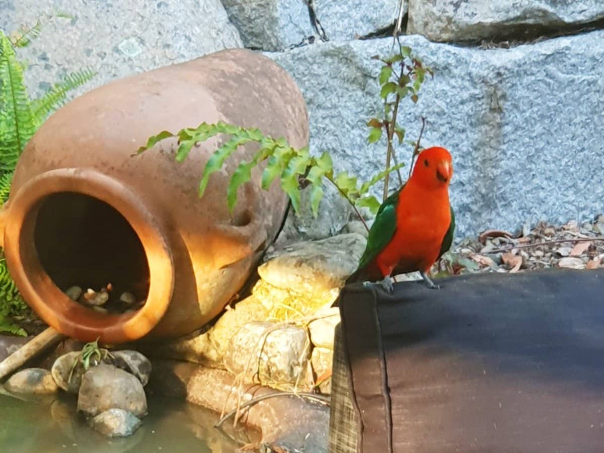 21-29 Fryar Road, LOGAN VILLAGE - Thumbnail 32