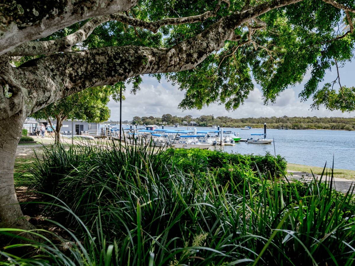 221-227 Gympie Terrace, NOOSAVILLE - Thumbnail 24