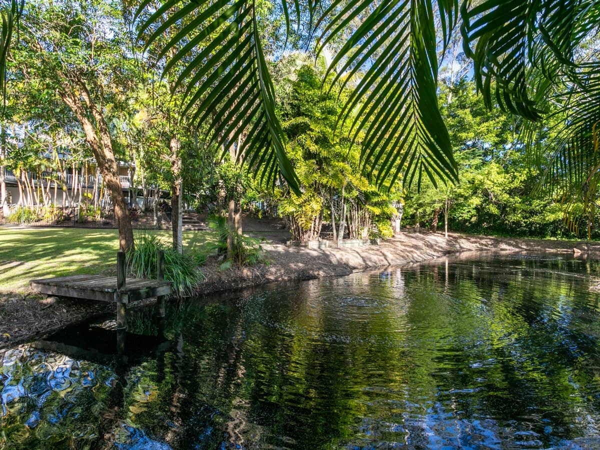 6 Silvertop Road, DOONAN - Thumbnail 18