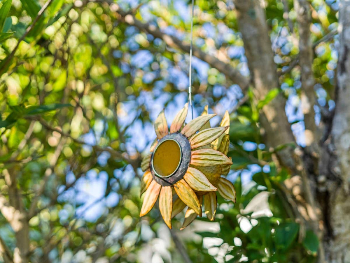 359 Whites Road, LOTA - Thumbnail 25