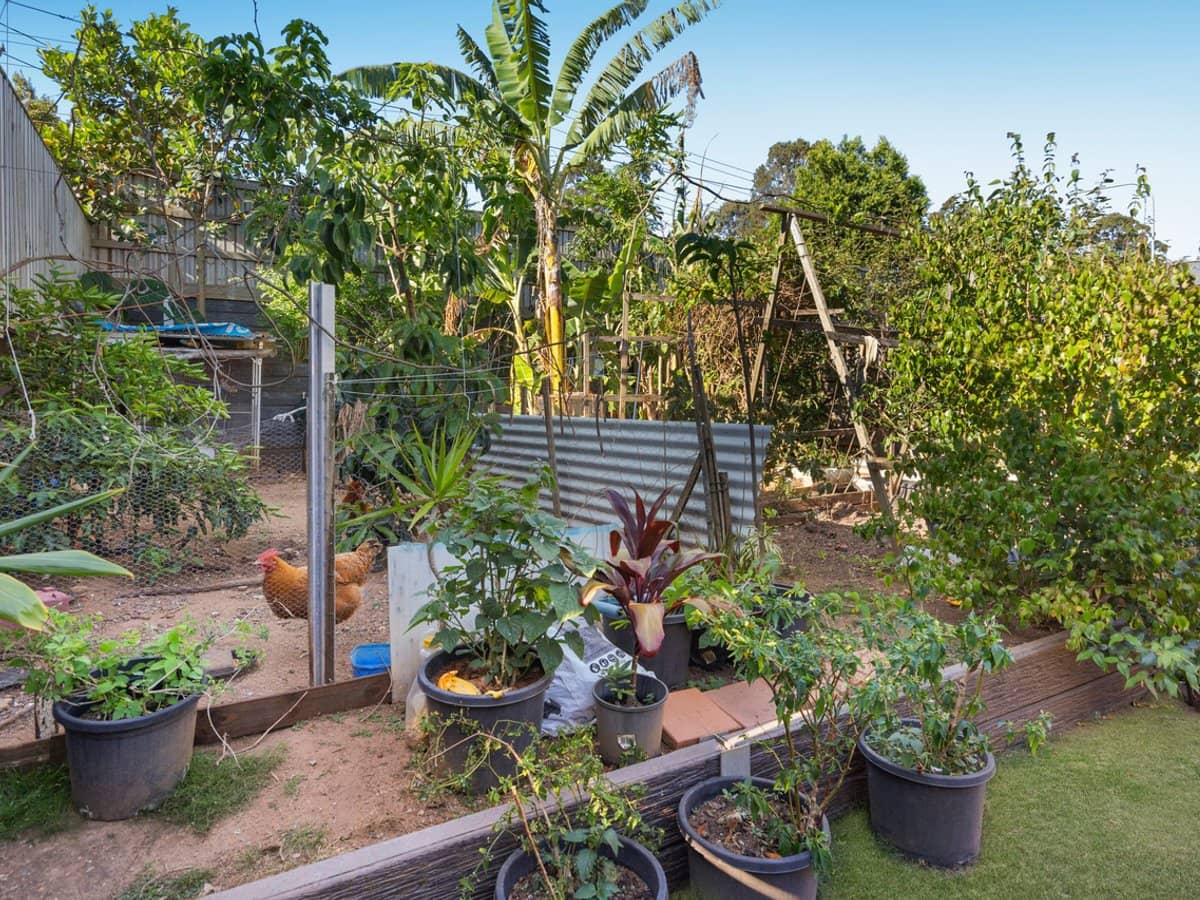 19 Waterhousia Crescent, BIRKDALE - Thumbnail 10