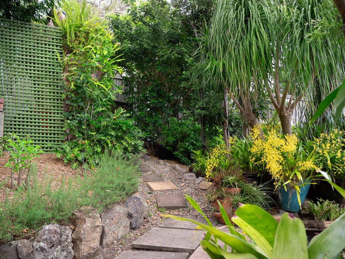 36 Coonara Street, HOLLAND PARK - Thumbnail 14