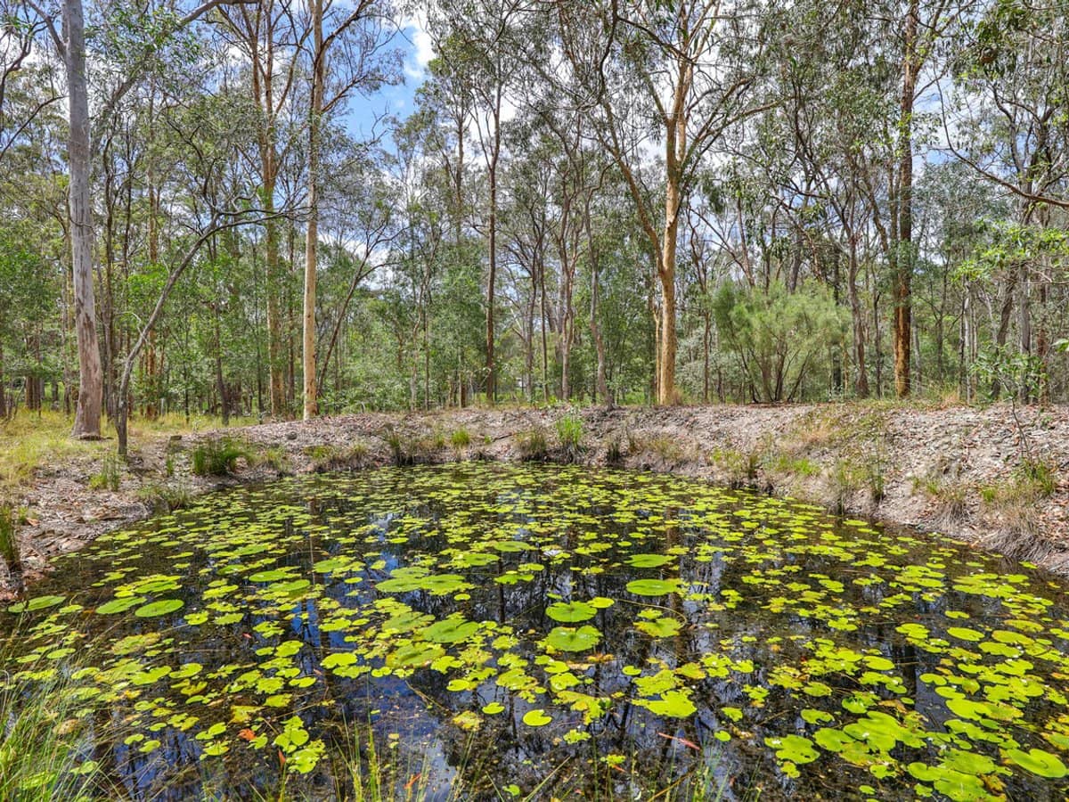 150-156 Buccan Road, BUCCAN - Thumbnail 20